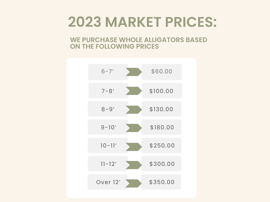 market value of alligator, Alligators Inc